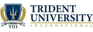 Explore online dba degrees at Trident University
